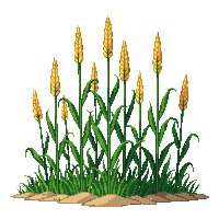 rpg corn stalks tall crop 185 v4 2026 03 03T17 02 45