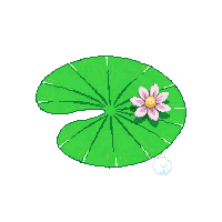 rpg lily pad pond water 032 2026 03 03T17 02 45