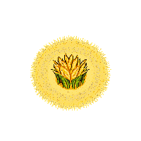 rpg wheat field patch golden 084 v2 2026 03 03T17 02 45