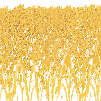 rpg wheat field patch golden 184 v4 2026 03 03T17 02 45