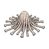 rpg pile bones scattered skeletal 111 v3 2026 03 03T17 02 45