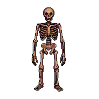 rpg skeleton druid nature undead 028 2026 03 03T17 02 45