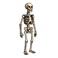 rpg skeleton druid nature undead 128 v3 2026 03 03T17 02 45