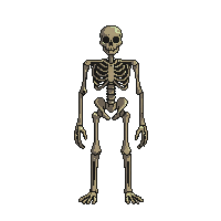 rpg skeleton druid nature undead 228 v5 2026 03 03T17 02 45