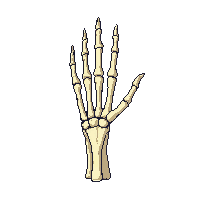 rpg skeleton hand bony reaching 013 2026 03 03T17 02 45
