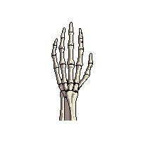 rpg skeleton hand bony reaching 063 v2 2026 03 03T17 02 45
