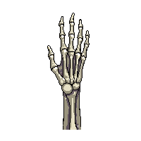 rpg skeleton hand bony reaching 113 v3 2026 03 03T17 02 45