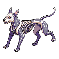 rpg skeleton hound undead dog 138 v3 2026 03 03T17 02 45