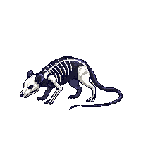 rpg skeleton rat undead rodent 242 v5 2026 03 03T17 02 45