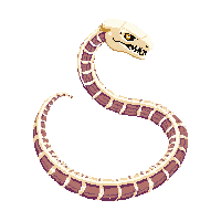 rpg skeleton snake undead serpent 040 2026 03 03T17 02 45