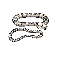 rpg skeleton snake undead serpent 240 v5 2026 03 03T17 02 45