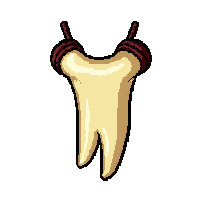 bone tooth necklace  blessed holy