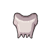 bone tooth necklace  on silver chain