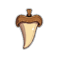 bone tooth necklace  pristine polished