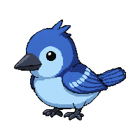 blue jay bird  pixel pet companion