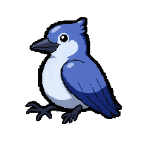 blue jay bird  sitting calm