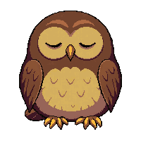 brown owl  sleeping peaceful