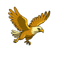golden eagle  running fast