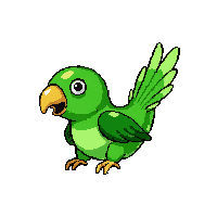 green parrot  jumping action