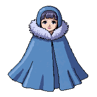 frost ice cape fur trimmed collar