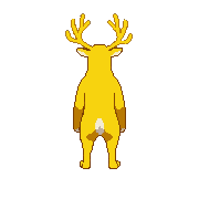 north