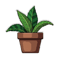 potted flower  simple plain