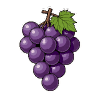 purple grape bunch  fresh and shiny