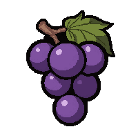 purple grape bunch  stylized cute