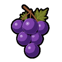 purple grape bunch  with a bite taken out