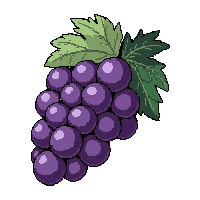 purple grape bunch  wrapped in paper