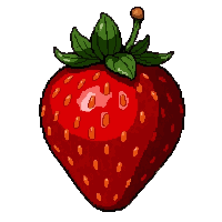 ripe strawberry  old and dried