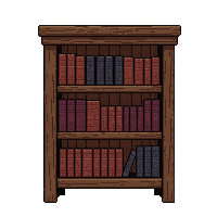 bookshelf full medieval wooden
