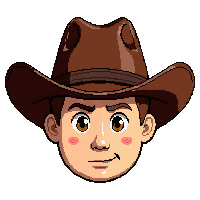 cowboy western hat  rusty brown