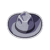cowboy western hat  silver grey