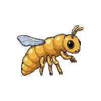 amber wasp  baby larva form