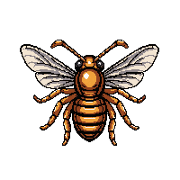 amber wasp  giant oversized