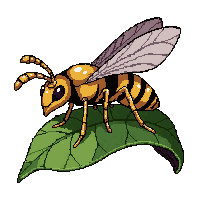 amber wasp  resting on leaf
