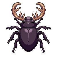 black stag beetle  enchanted sparkle
