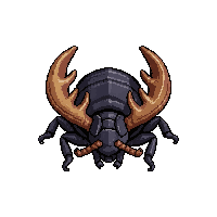 black stag beetle  giant oversized