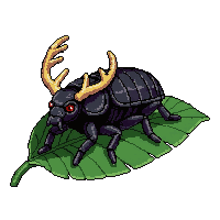 black stag beetle  resting on leaf