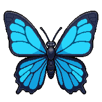 blue morpho butterfly  flying wings spread