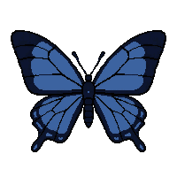 blue morpho butterfly  realistic detailed