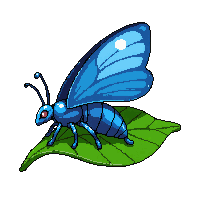 blue morpho butterfly  resting on leaf