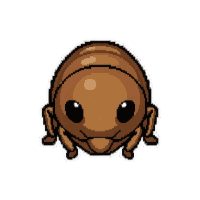 brown cricket  baby larva form
