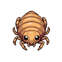 brown cricket  enchanted sparkle