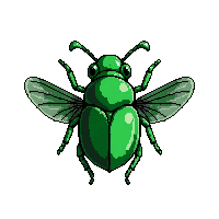 emerald jewel beetle  flying wings spread