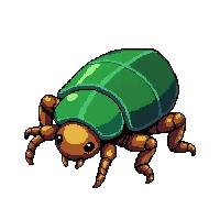 emerald jewel beetle  giant oversized