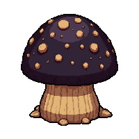 black truffle dark  growing on log