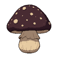 black truffle dark  sprouting spores