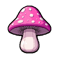 crystal transparent mushroom  freshly picked